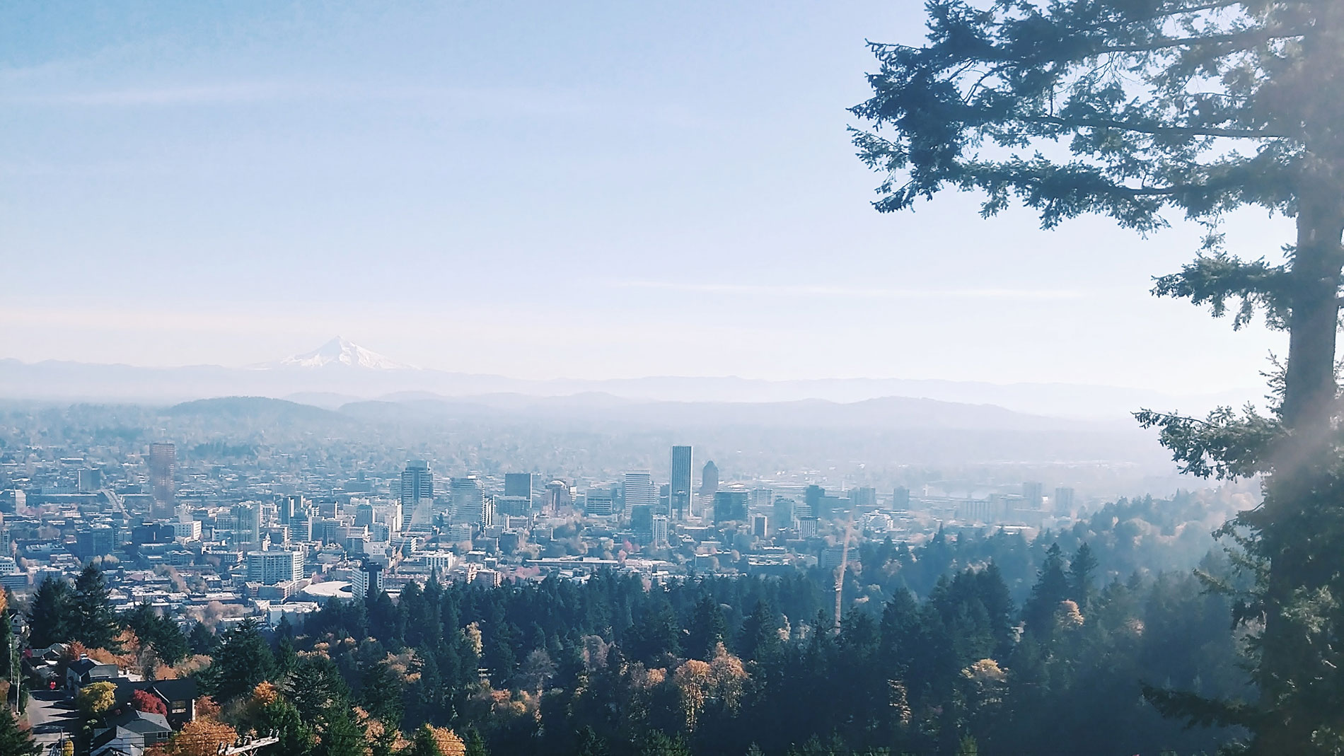 Oregon mountain landscape